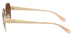 Coach Sunglasses HC7186 in Shiny Light Gold / Brown Gradient Polarized 900587 (900587), side profile view