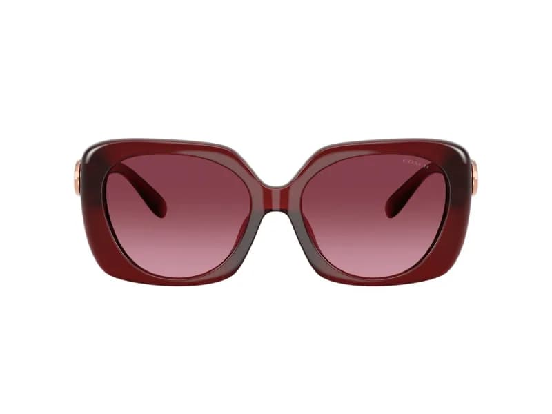 Coach Sunglasses HC8422U in 58708H (58708H), straight front view