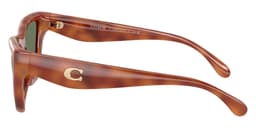 Coach Sunglasses HC8449U in Caramel Tortoise / Green Solid 577482 (577482), side profile view