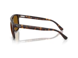 Ray-Ban Sunglasses RB2213 in 902/33 (902/33), side view