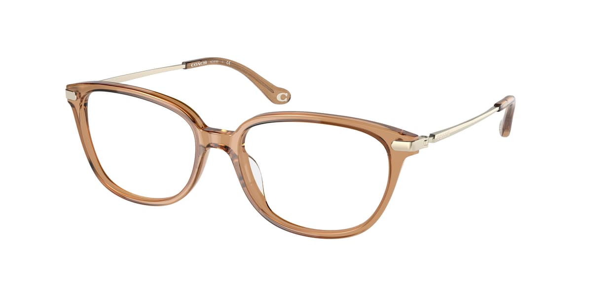 Coach Frame HC6185 in Transparent Brown (5654), front three-quarter view