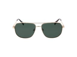 Polaroid Sunglasses PLD 6195/S/X/N in Dorado (J5G), straight front view