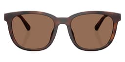 Coach Sunglasses HC8442U in Matte Dark Tortoise / Brown Solid (512073), straight front view