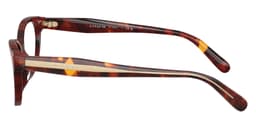 Coach Frame HC6293U in Walnut Tortoise 5938 (5938), side profile view