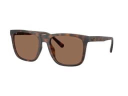 Coach Sunglasses HC8427U in 512073 (512073), front three-quarter view