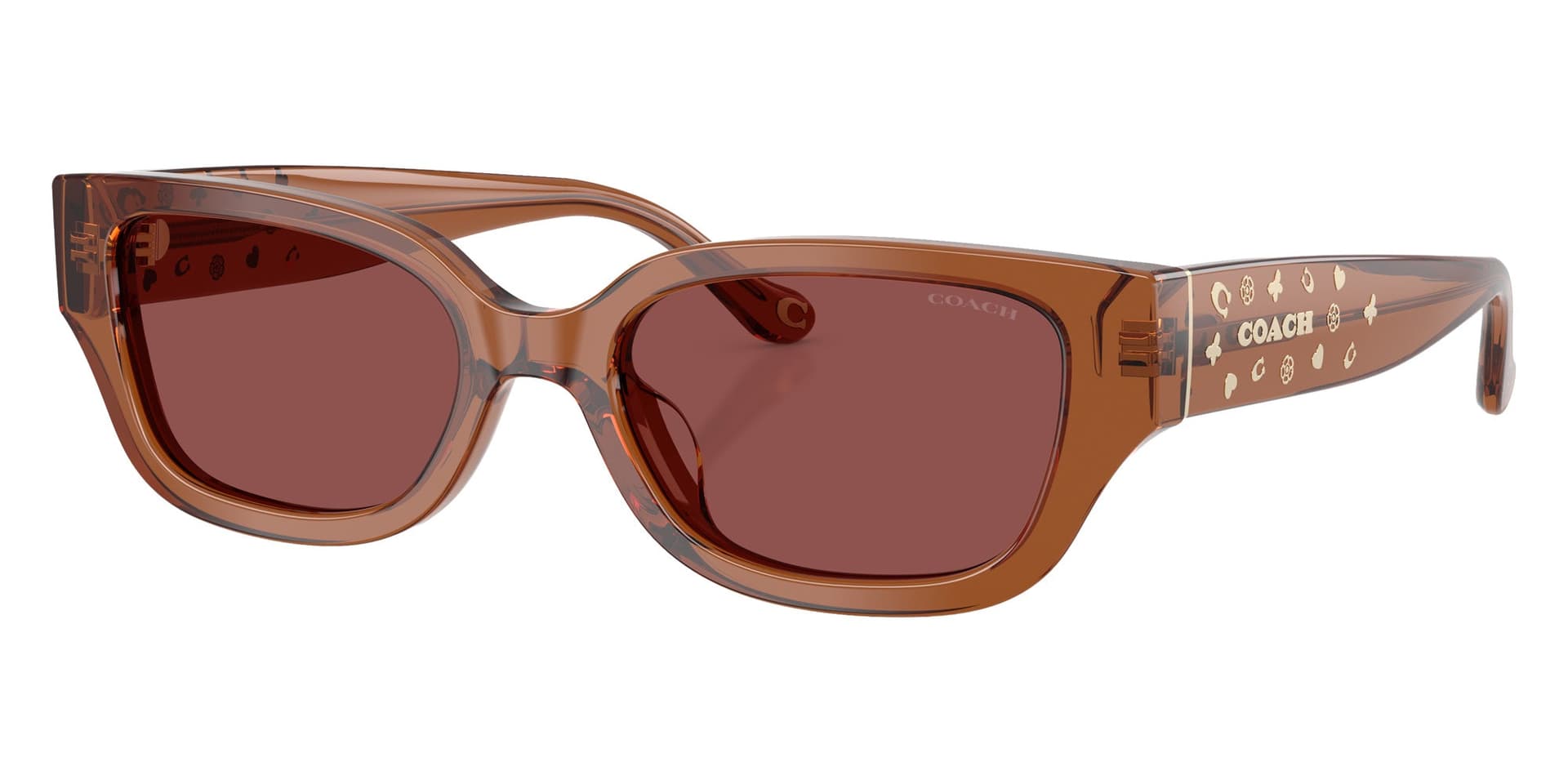 Coach Sunglasses HC8439U in Transparent Brown / Wine Solid (581175), front three-quarter view