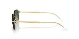 Ray-Ban Sunglasses RB3768 in 001/71 (001/71), side view
