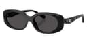 Coach Sunglasses HC8443D in Black / Gray Solid (500287), front three-quarter view
