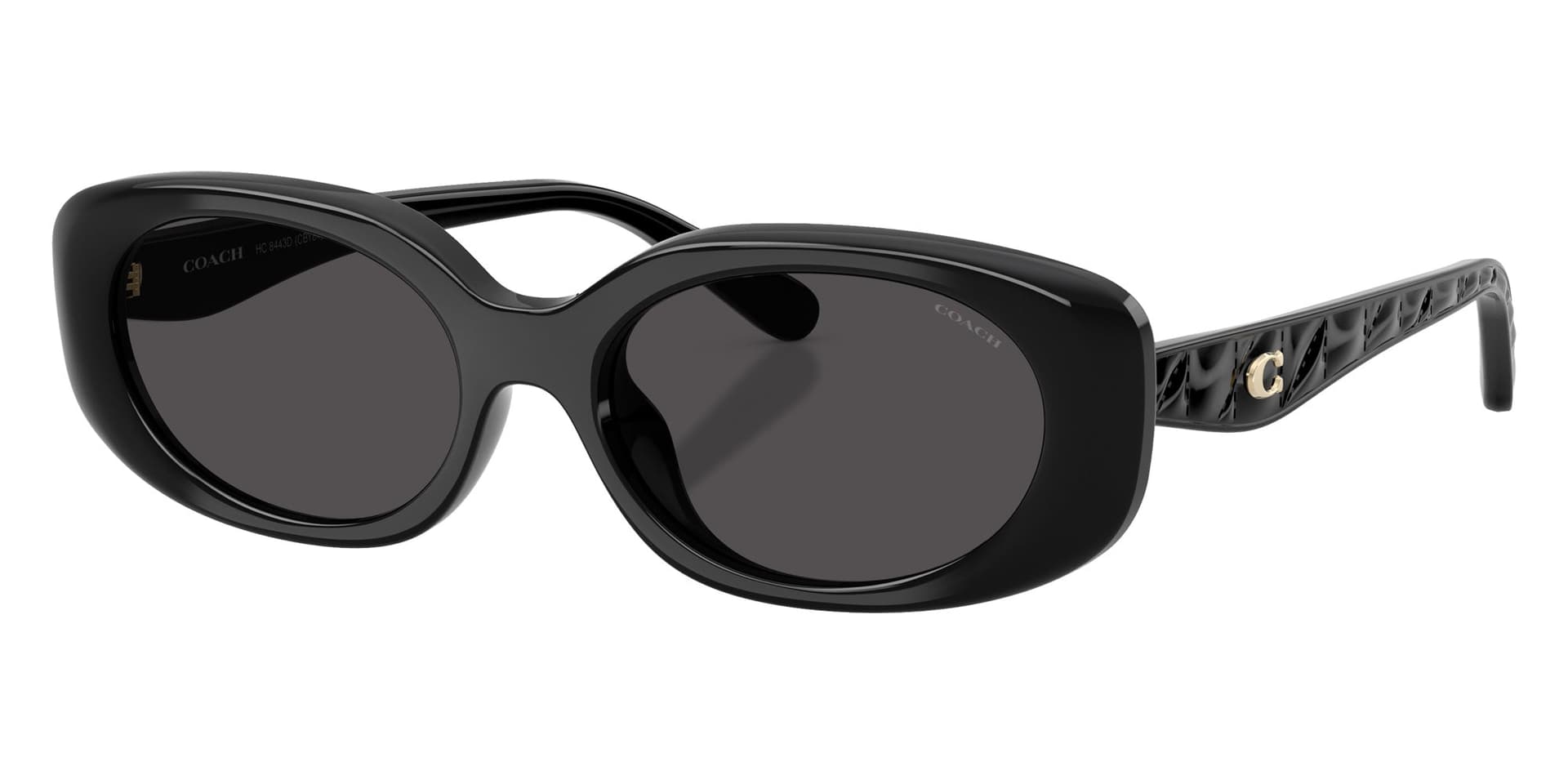 Coach Sunglasses HC8443D in Black / Gray Solid (500287), front three-quarter view