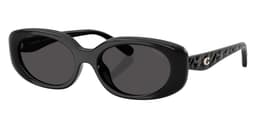 Coach Sunglasses HC8443D in Black / Gray Solid (500287), front three-quarter view
