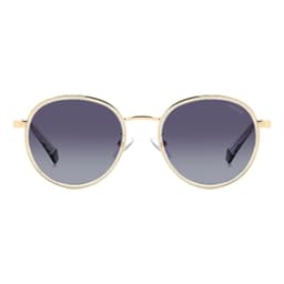 Polaroid Sunglasses PLD 4173/G/S/X in GOLD GREY, alternate view