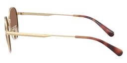 Coach Sunglasses HC7191 in Shiny Light Gold / Brown Solid 900513 (900513), side profile view