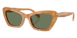 Coach Sunglasses HC8452U in Blonde Tortoise / Green Solid 593982 (593982), front three-quarter view