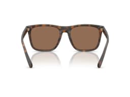 Coach Sunglasses HC8427U in 512073 (512073), viewed from behind