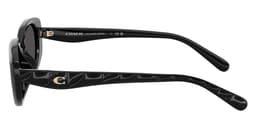 Coach Sunglasses HC8443D in Black / Gray Solid (500287), side profile view