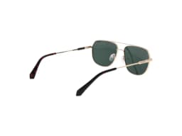 Polaroid Sunglasses PLD 6195/S/X/N in Dorado (J5G), side view