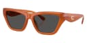 Coach Sunglasses HC8449U in Milky Amber / Wine Solid 593087 (593087), front three-quarter view