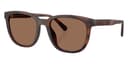 Coach Sunglasses HC8442U in Matte Dark Tortoise / Brown Solid (512073), front three-quarter view