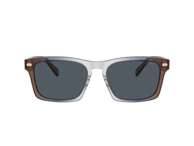 Coach Sunglasses HC8397U in 581587 (581587), straight front view