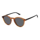 Polaroid Sunglasses PLD 4153/S in BROWN, three quarter view