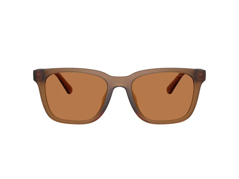 Coach Sunglasses HC8426U in 587673 (587673), straight front view