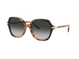 Coach Sunglasses HC8377U in 577613 (577613), front three-quarter view