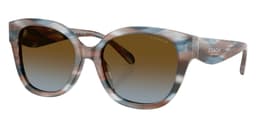 Coach Sunglasses HC8438U in Striated Maple/Blueberry / Brown Blue Gradient (589913), front three-quarter view