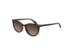 Polaroid Sunglasses PLD 4107/S in Havana (086), front three-quarter view