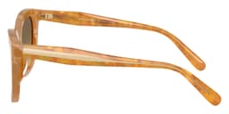 Coach Sunglasses HC8453U in Blonde Tortoise / Olive 593911 (593911), side profile view