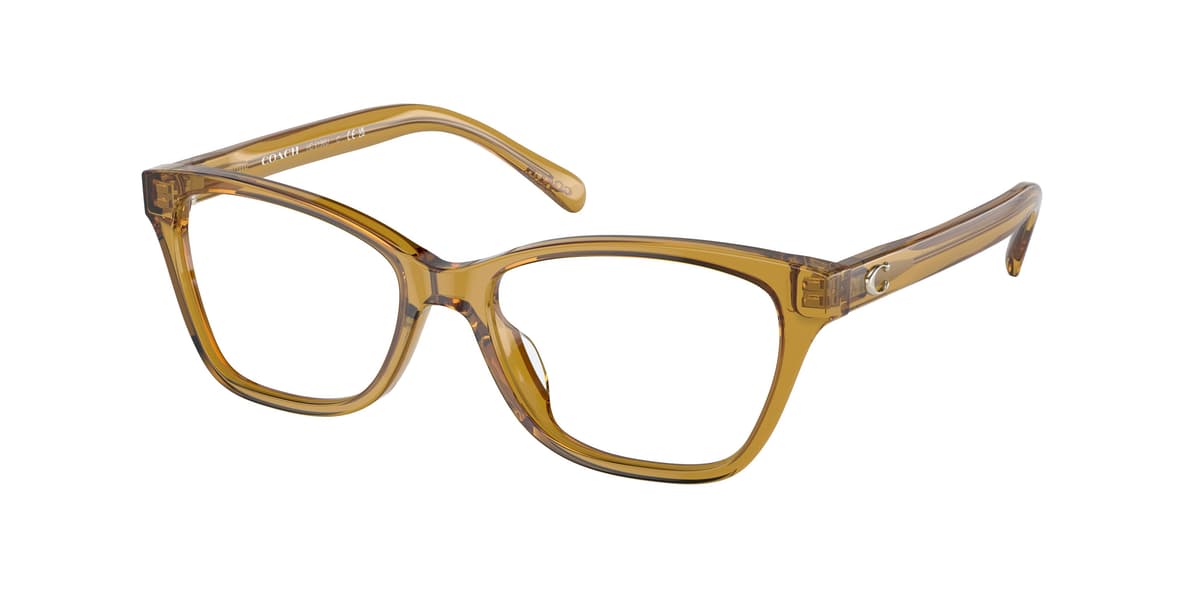 Coach Frame HC6196U in Transparent Honey (5715), front three-quarter view