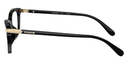 Coach Frame HC6219U in Black (5002), side profile view