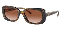 Coach Sunglasses HC8358U in Pearlized Tortoise / Brown Gradient 572413 (572413), front three-quarter view