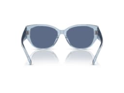 Coach Sunglasses HC8362U in 574080 (574080), viewed from behind