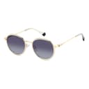 Polaroid Sunglasses PLD 4173/G/S/X in GOLD GREY, three quarter view