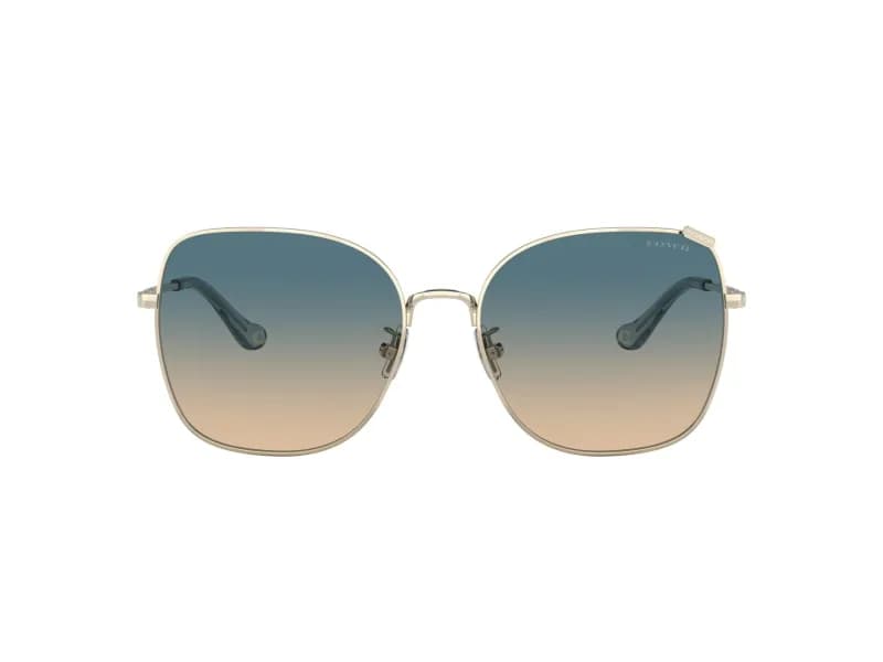 Coach Sunglasses HC7133 in 900579 (900579), straight front view