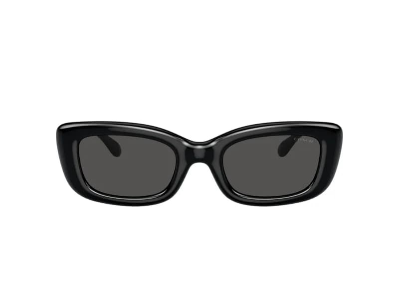 Coach Sunglasses HC8390U in 500287 (500287), straight front view