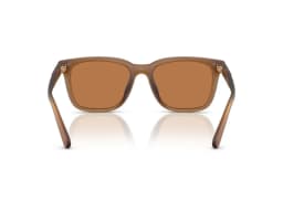 Coach Sunglasses HC8426U in 587673 (587673), viewed from behind