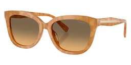 Coach Sunglasses HC8453U in Blonde Tortoise / Olive 593911 (593911), front three-quarter view