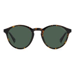 Polaroid Sunglasses PLD 4153/S in HAVANA, alternate view