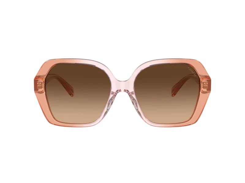 Coach Sunglasses HC8404U in 581274 (581274), straight front view