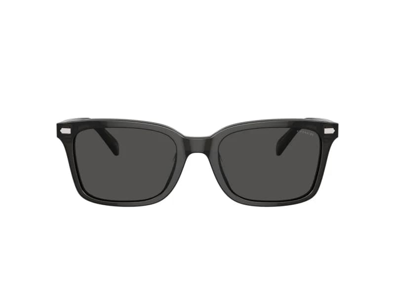 Coach Sunglasses HC8398U in 581787 (581787), straight front view
