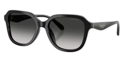 Coach Sunglasses HC8437U in Black / Gray Gradient (50023C), front three-quarter view