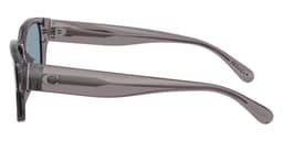 Coach Sunglasses HC8441U in Transparent Gray / Light Blue Solid (553772), side profile view