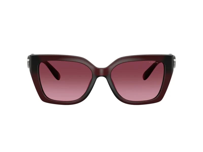 Coach Sunglasses HC8408U in 53938H (53938H), straight front view
