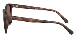 Coach Sunglasses HC8442U in Matte Dark Tortoise / Brown Solid (512073), side profile view
