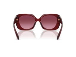 Coach Sunglasses HC8422U in 58708H (58708H), viewed from behind