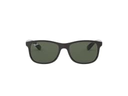Ray-Ban Sunglasses RB4202 in 606971 (606971), straight front view