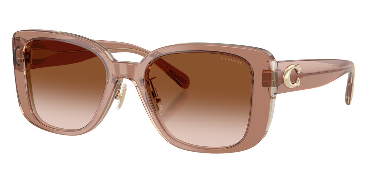 Coach Sunglasses HC8352 in Brown/Gray / Brown Gradient (577913), front three-quarter view