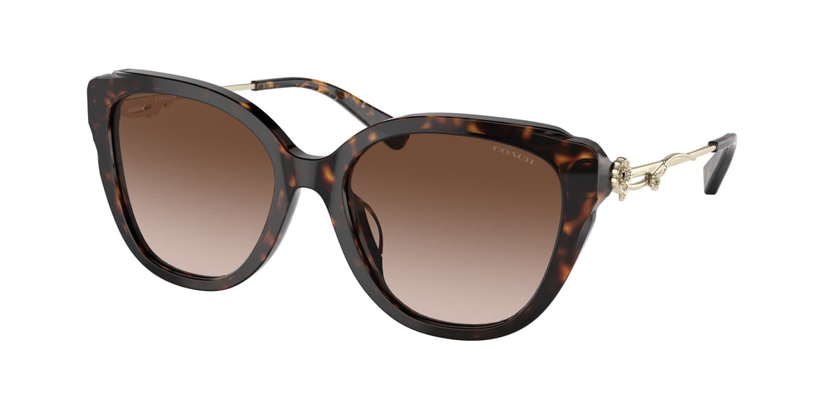 Coach Sunglasses HC8347BU in Dark Tortoise (512013), front three-quarter view