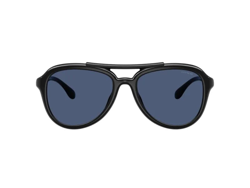 Coach Sunglasses HC8406U in 500287 (500287), straight front view